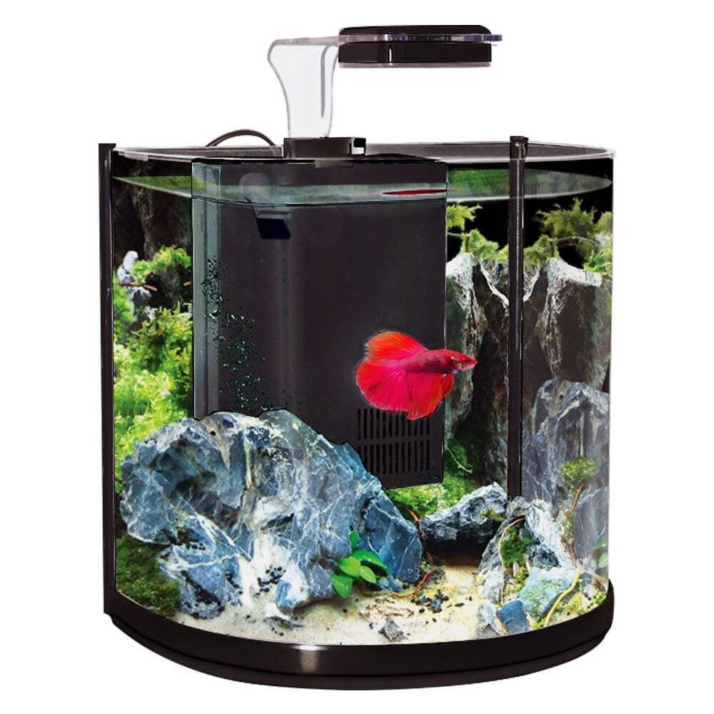Aqua One BT10 Betta Aquarium Fish Tank