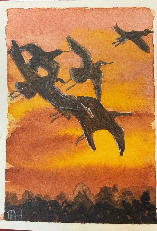 Tracey A Hunnewell Original Drawing Flight of the Avocet Bird Realism OOAK