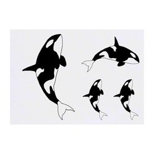 4 x 'Killer Whale' Temporary Tattoos / Transfers TO00001553 