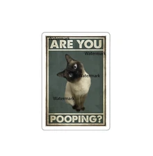 Are You Pooping Cat Curiosity Sticker Decal