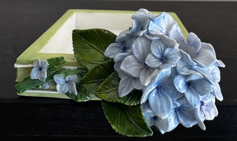 Lady Jayne French Hydrangea Writers Block Cottage Core Cozy Spring