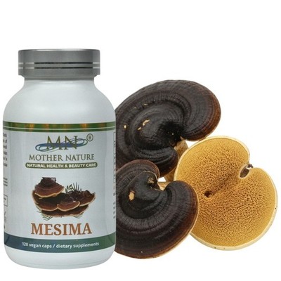 Mesima Mushroom Supplement 1000mg Black Hoof Phellinus linteus 120 Vegan Capsule