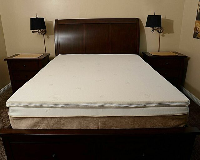 2 dunlop latex mattress topper