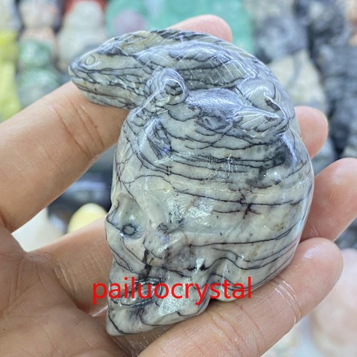 2.3" Natural Unknown Lizard Skull Quartz Crystal Skull Carved Figurines Gem 1pc - Picture 2 of 9