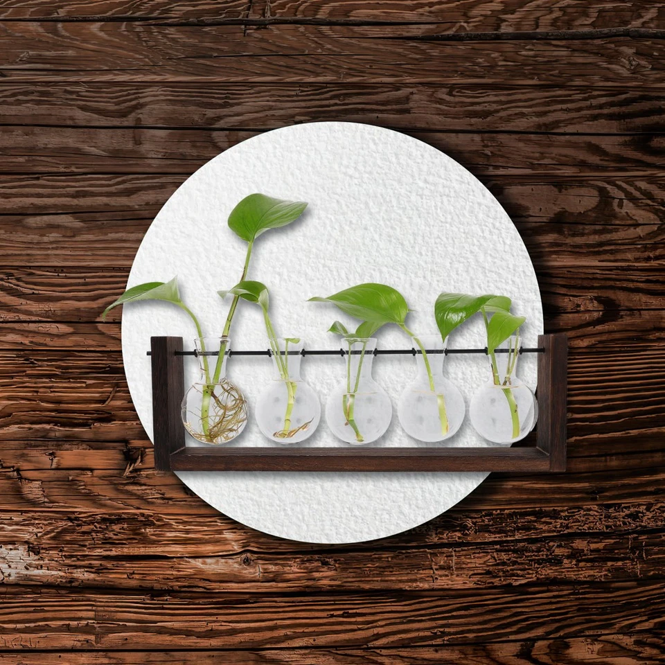  Übertopf Glas Wandhängende Blumentöpfe Pflanzgefäße Zum Aufhängen Der - Bild 2 von 4