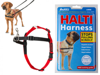 dog halters to stop pulling
