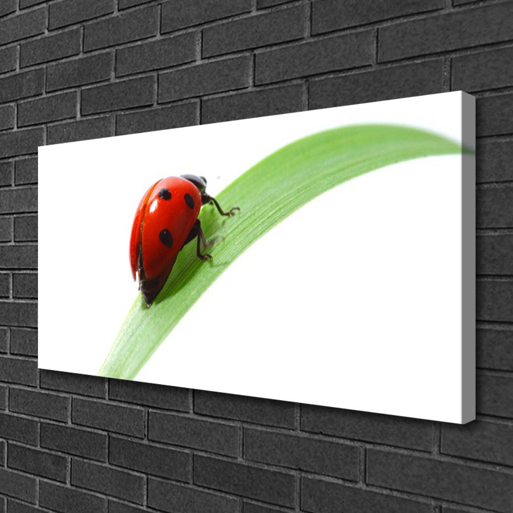 Tableau moderne sur toile de lin avec macro photo de coccinelle et feuille verte