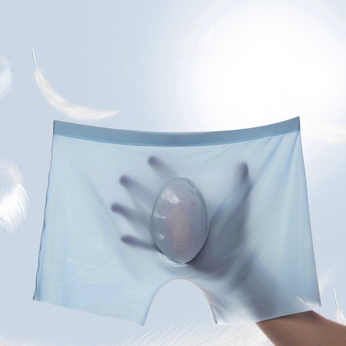 Mens Ice Silk Briefs Seamless Boxer Sexy Shorts Underwear Solid Underpant - Photo 5/19