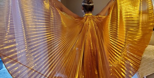 FLÜGEL des IS, 6 EINZIGARTIGE STOFFE, 6 EINZIGARTIGE FARBEN, TANZ, KOSTÜM, GOTHIC - Bild 15 von 25