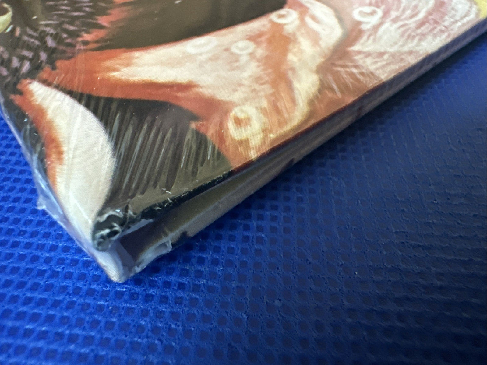 Picture 2 of 13