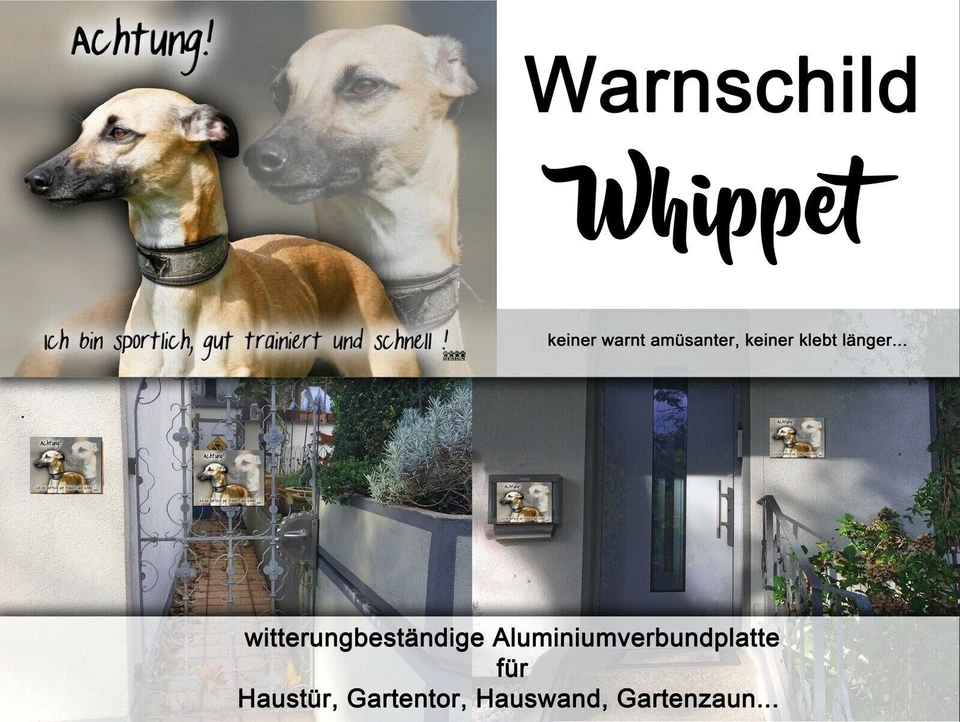 WHIPPET Windhund Hundewarnschild Hundeschild Metall Alu-Dibond SCHILD NEU #12 - Bild 2 von 3