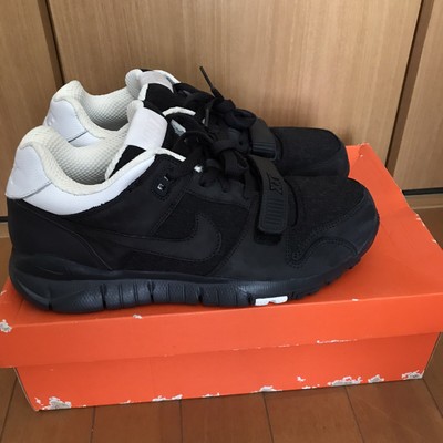 nike trainer dunk low