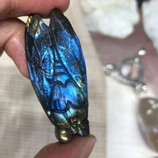 Natural Labradorite Hand Carved The Cicada Quartz Crystal Healing 1PCS #AJ