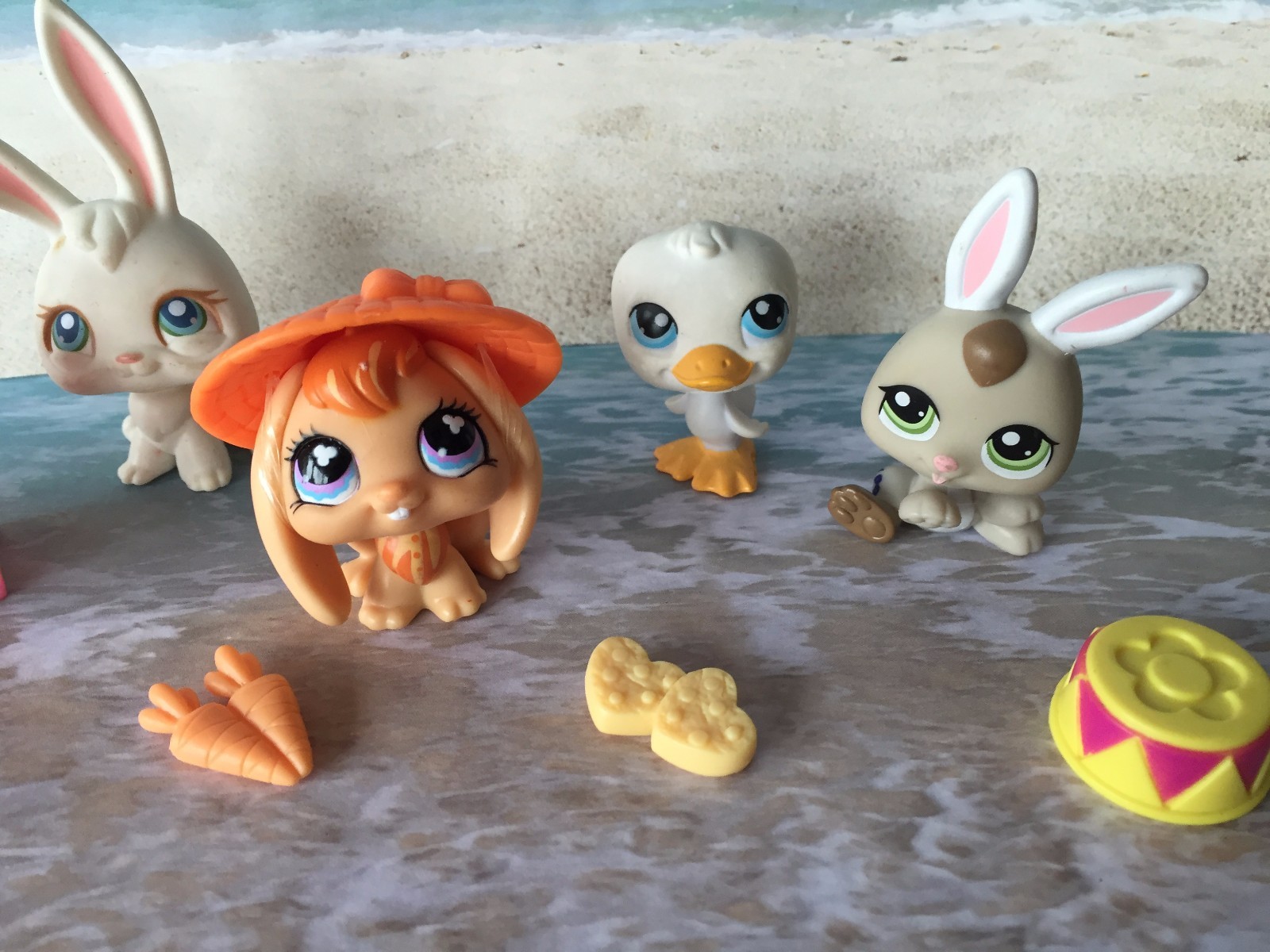 pet shops that sell rabbits