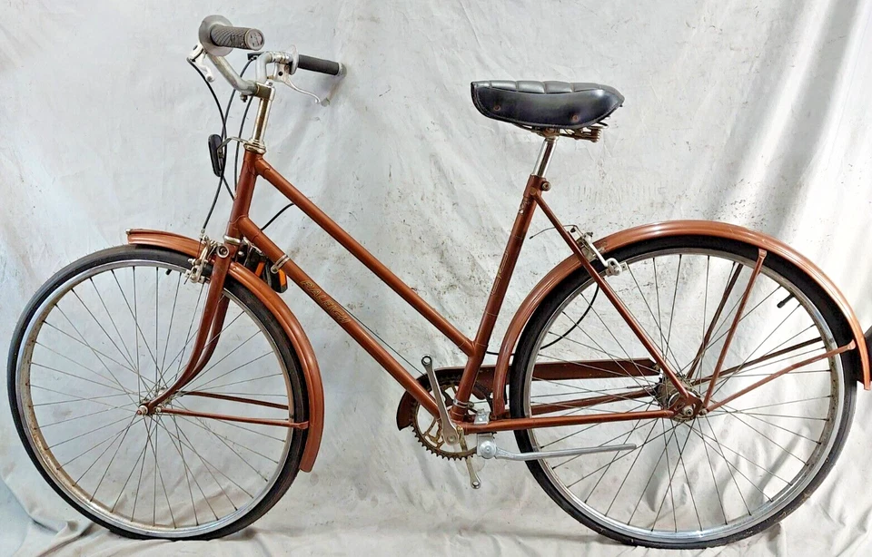 Bicicleta deportiva Raleigh 1973 crucero grande 21" Sturmey Archer 3 velocidades acero envío EE. UU. Foto 2 de 4