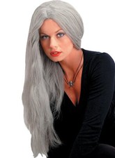 Seasonal Visions Adult Wig - Witch Costume Accessory - Grey - 24 Inch Long