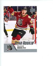 2020-21 Upper Deck UD AHL Rookie RC #188 Dominik Bokk