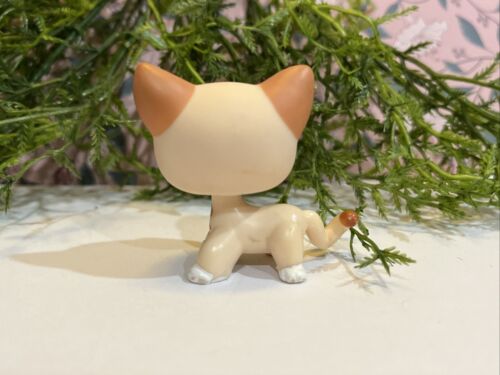 Littlest Pet Shop 852 LPS Authentic Shorthair Cheetah Cat Green Eyes Moon - Picture 3 of 7