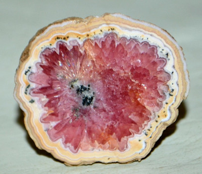 Rhodochrosite Trapiche Stalactite flower  from Argentina * rare