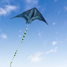 2M Delta Aircraft Kite with 100M Line Large Outdoor Beach Camping Flying Kite
