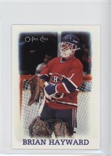 1988-89 O-Pee-Chee NHL Stars Mini Etoiles Stars Brian Hayward #13 0i5
