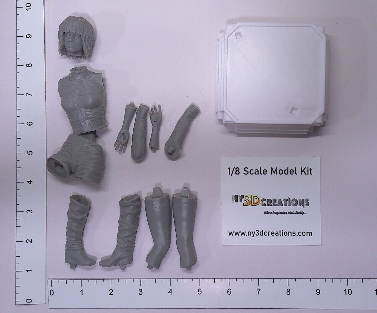 PR PRODUCTION 漣 ABS製 プラスチックモデルキット 完成品 Amazon | PR PRODUCTION 「PROJECT 狩」 漣 1/10スケール ABS製