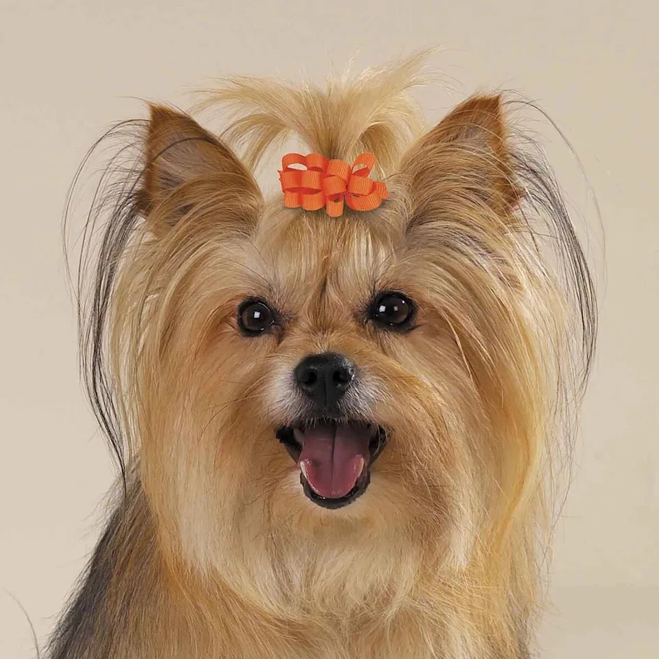 12 GROSGRAIN LOOP CURLED RIBBON HAIR BOW w/ BARRETTE CLIP Dog Grooming Top Knot - Image 4 of 4