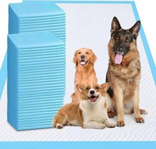 XXXXL Puppy Pee Pads 31"x47" 100 Count, Extra Large 100 Blue