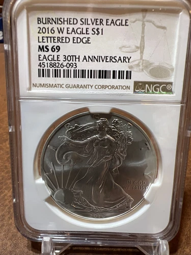 2016 W Burnished Silver Eagle NGC MS69 - Lettered Edge - Brown Label