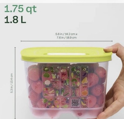Tupperware Keep Fresh Containers with Indicators