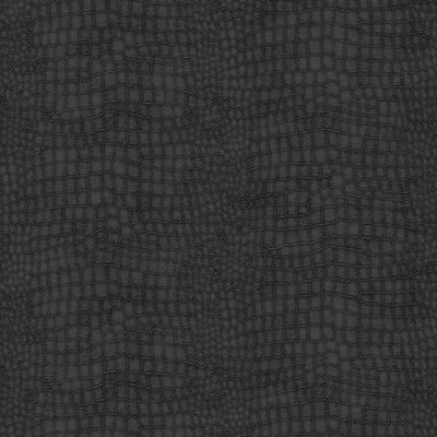 Black Crocodile Wallpaper