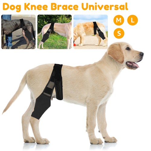 Pet Dog Knee Brace Adjustable Dog Leg Braces Leg Support Injury·Joint~Protector