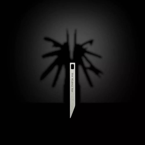 Edc Pry Bar Edc Keychain Tool Stainless Steel Pocket Travel Outdoor camping RV - Picture 2 of 11