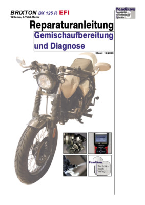 Reparaturanleitung RIS Brixton BX 125 R, EFI, Gemischaufbereitung Diagnose