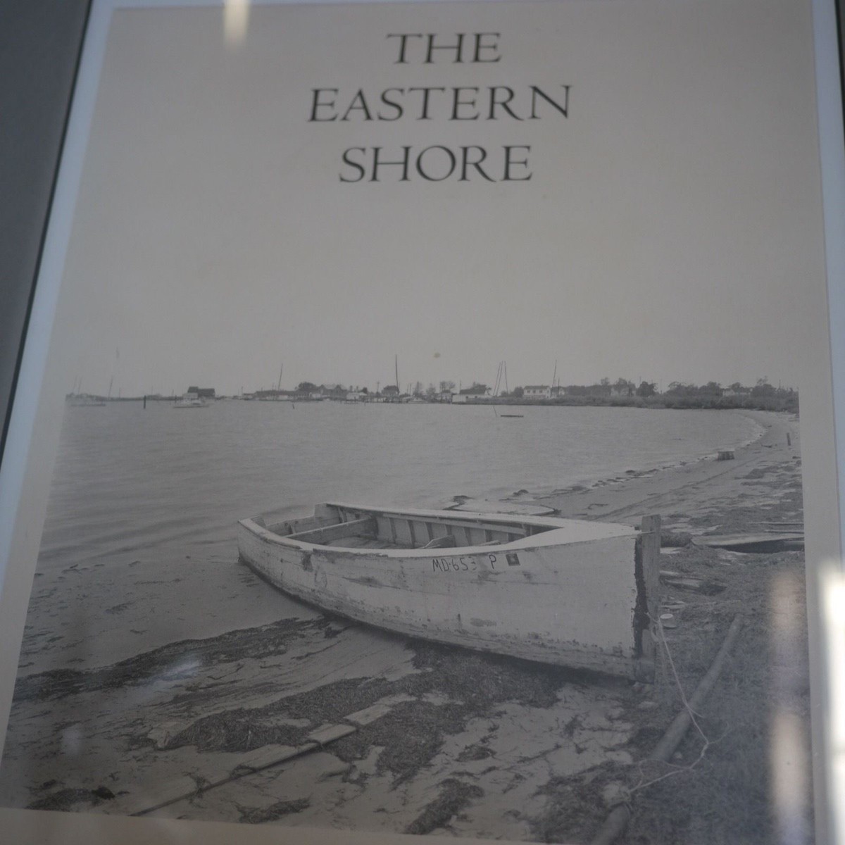スティーブ・サボー STEAVE SZABO The Eastern Shore The Eastern Shore by Steve Szabo 9780891690085| eBay
