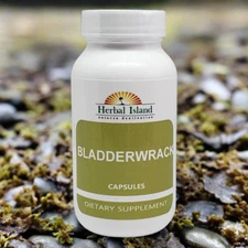 Bladderwrack Capsules