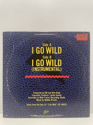 Jak I Go Wild 12” Single Promo LP Epic Records | eBay Jak I Go Wild 12” Single Promo LP Epic Records | eBay