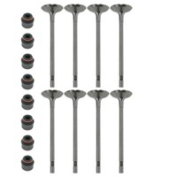 8X Auslassventil+Schaftdichtung FüR Vw T6 Crafter Man Tge 2.0 Tdi 04L109611 Cxe
