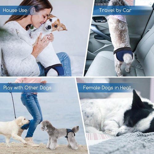 Waschbare Windel Für Hunde Katzen Physiologische Höschen Unterhosen ❤ ▽ - Bild 13 von 16