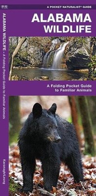 Alabama Wildlife: A Folding Pocket Guide to Familiar Animals by James Kavanagh (