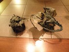 Picture 5 of 9