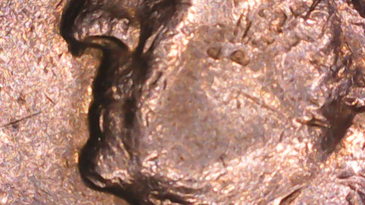 Picture 11 of 19