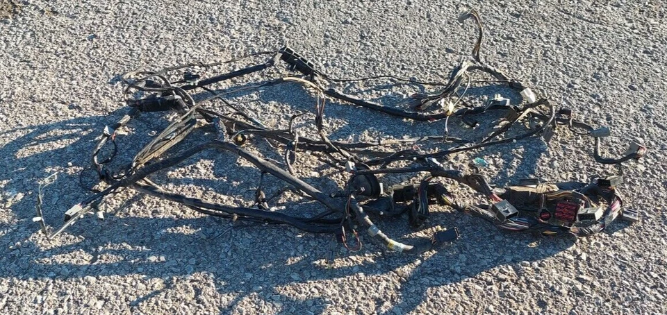 Жгут проводов основного кузова 1998 Ford Mustang GT 4,6 л купе автоматический провод - Изображение 2 из 2