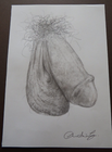 Bild 10 von 11