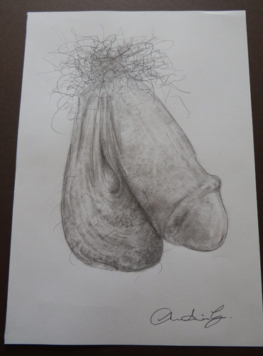 Original illustration of Male Nude Anatomical Tonal Penis Pencil Drawing NSFW - Picture 10 of 11