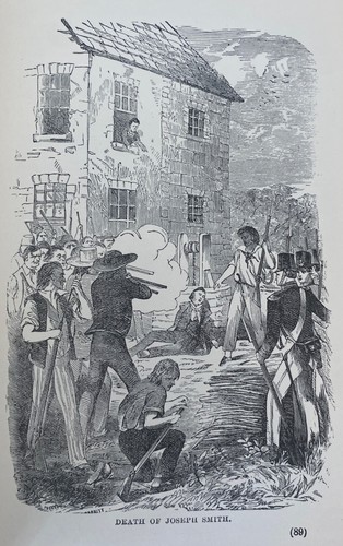 POLYGAMY OR THE MYSTERIES AND CRIMES OF MORMONISM J. H. Beadle 1904 Illustrated - 第 16/24 張圖片