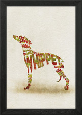 English Whippet - Snap Dog gerahmtes Wandbild Poster Leinwanddruck Bild