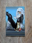 AMAZING SPIDER-MAN #31 Greg Land 1:50 Black Cat Virgin Variant Marvel 2023