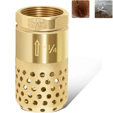 Heavy Duty 1-1/4" Brass Foot Valve with Spring Mesh Check Female NPT Check Valve