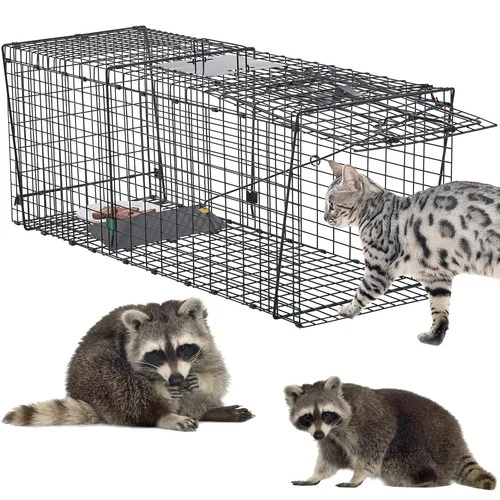 Heavy Duty 37 Inch Humane Live Animal Trap for Raccoons, Stray Cats, and Othe...